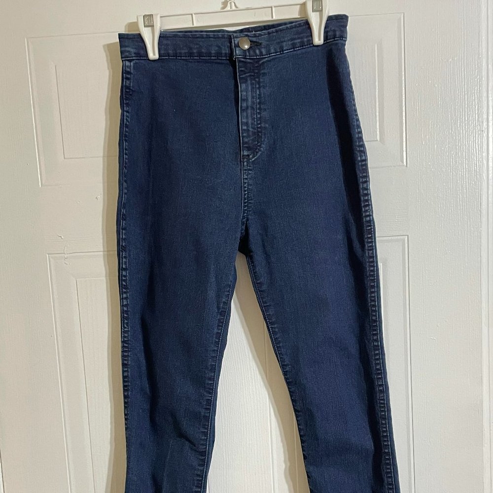 American Apparel Dark Wash The Easy Highrise Skinny Jean